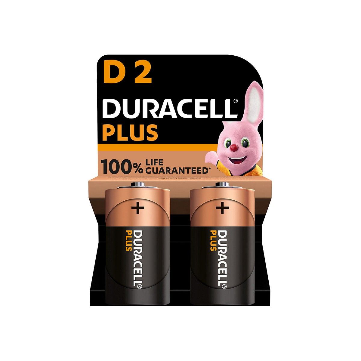DURACELL DURD100PP2 D EXTRA LIFE BATTERIES (PACK 2)