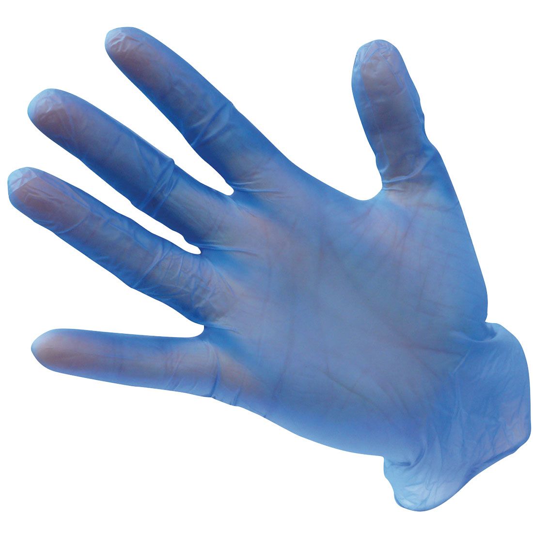 Powder Free Vinyl Disposable Glove (Pk100), L, , Blue