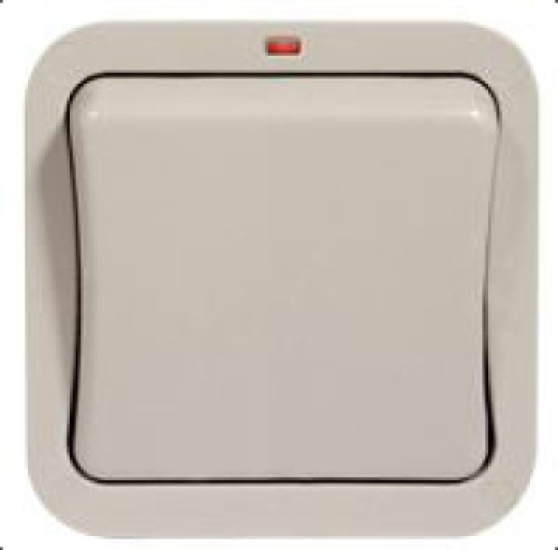 NEXUS WP30 IP66 SWITCH 1-GANG DP 20a