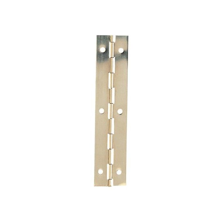 CARLISLE BRASS PIANO HINGE NPH2