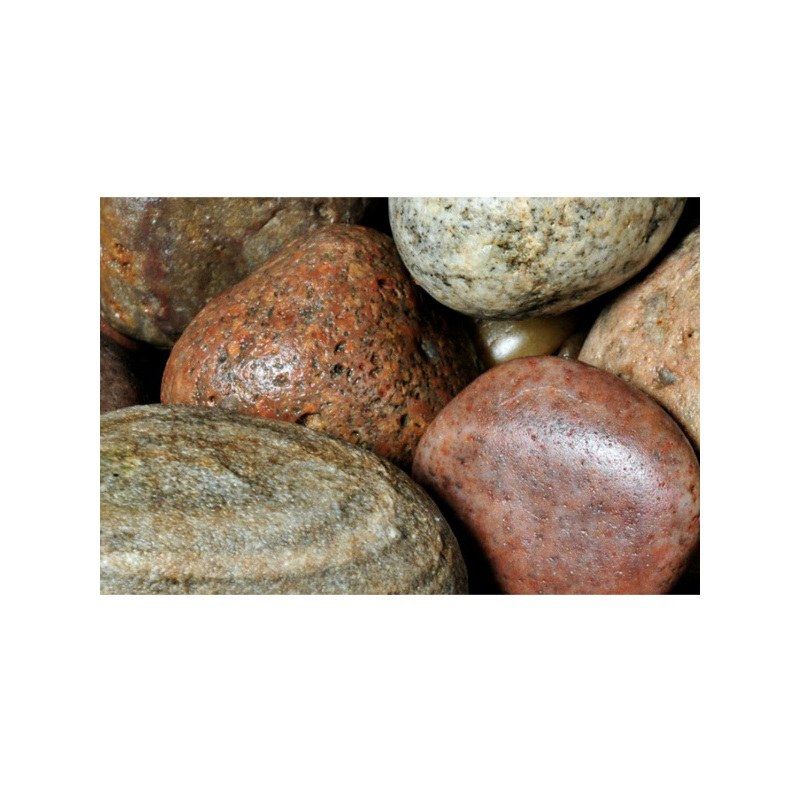 Border Scotch Cobbles Mini Bag Pre Packed