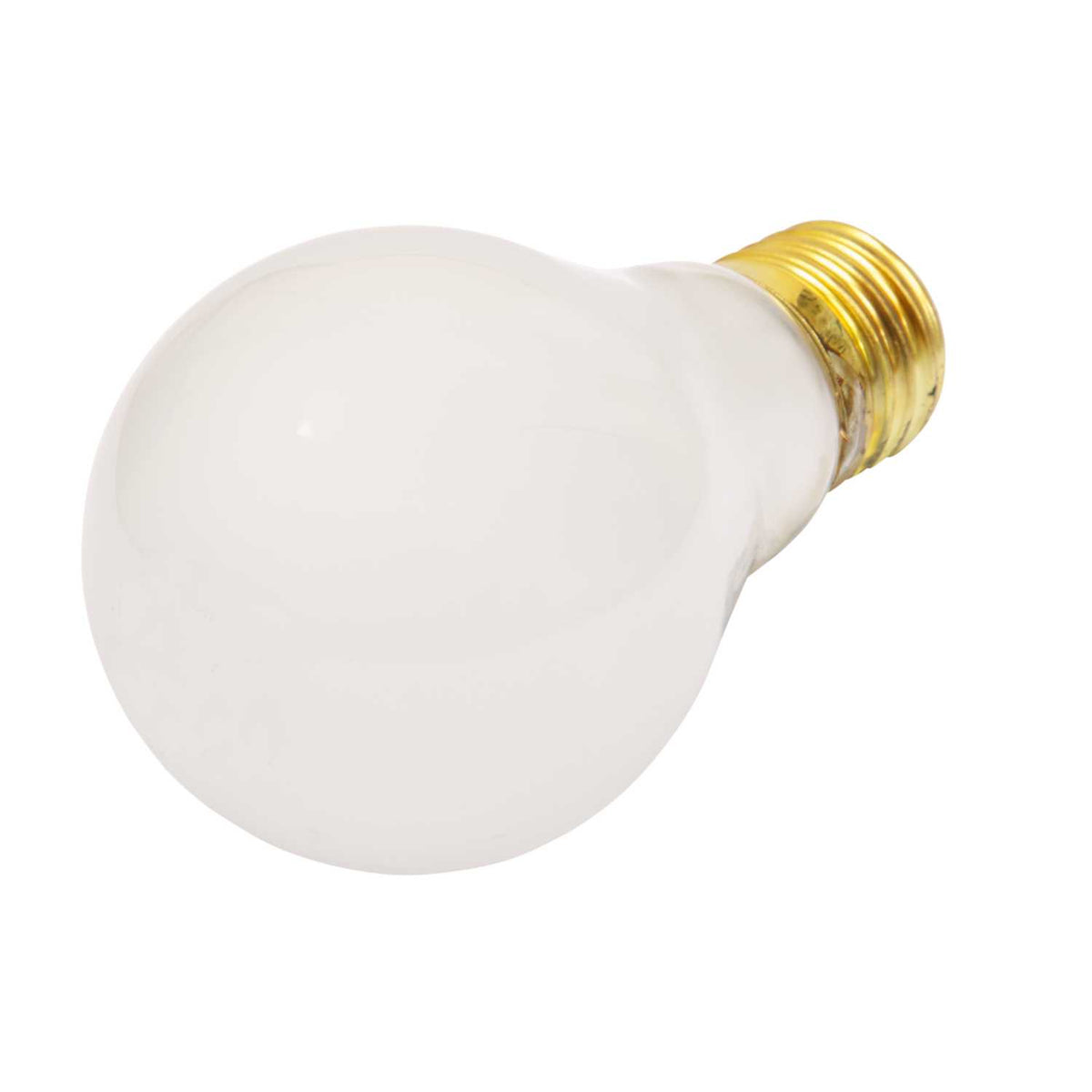 Fusion 40W 24V ES GLS Lamp Pearl