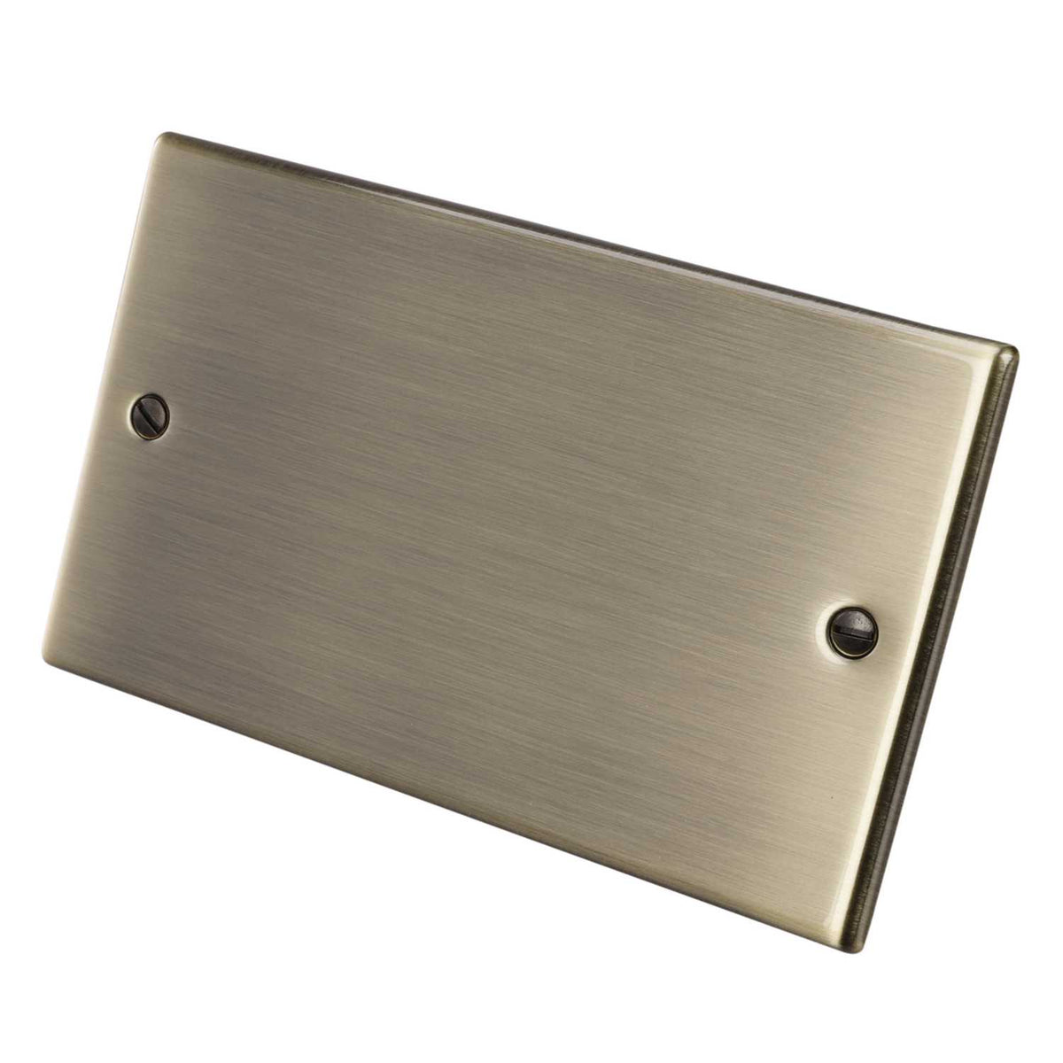 Hamilton 2 Gang Blank Plate Antique Brass