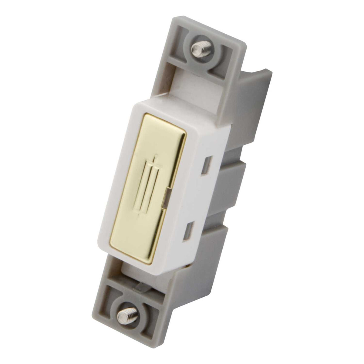 13A Fused Module Polished Brass