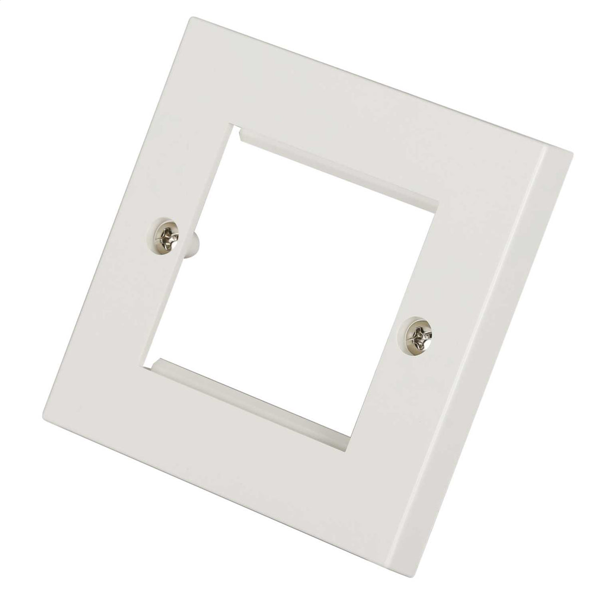 Philex 1 Gang 2 Module Face Plate