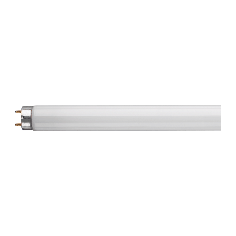 CROMPTON F36/840 36W 4FT T8 COL840