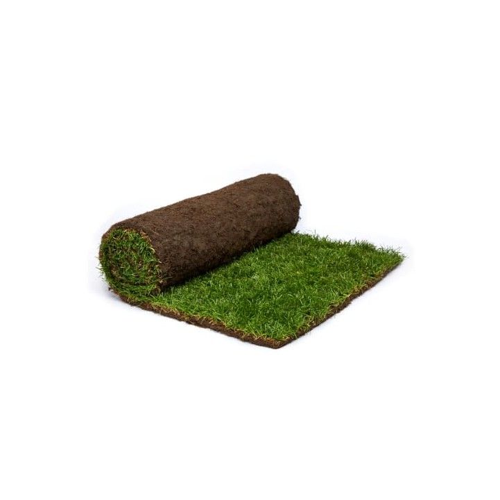 ROLAWN MEDALLION TURF 1m2 ROLL RB000010