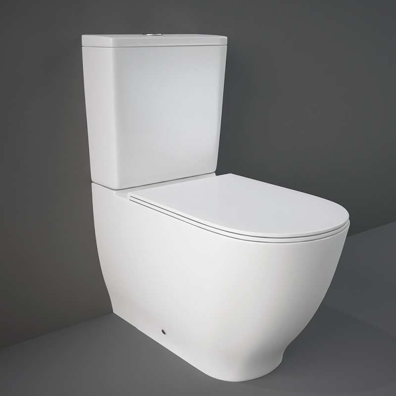 RAK C6681 MOON SOFT CLOSE UREA SEAT