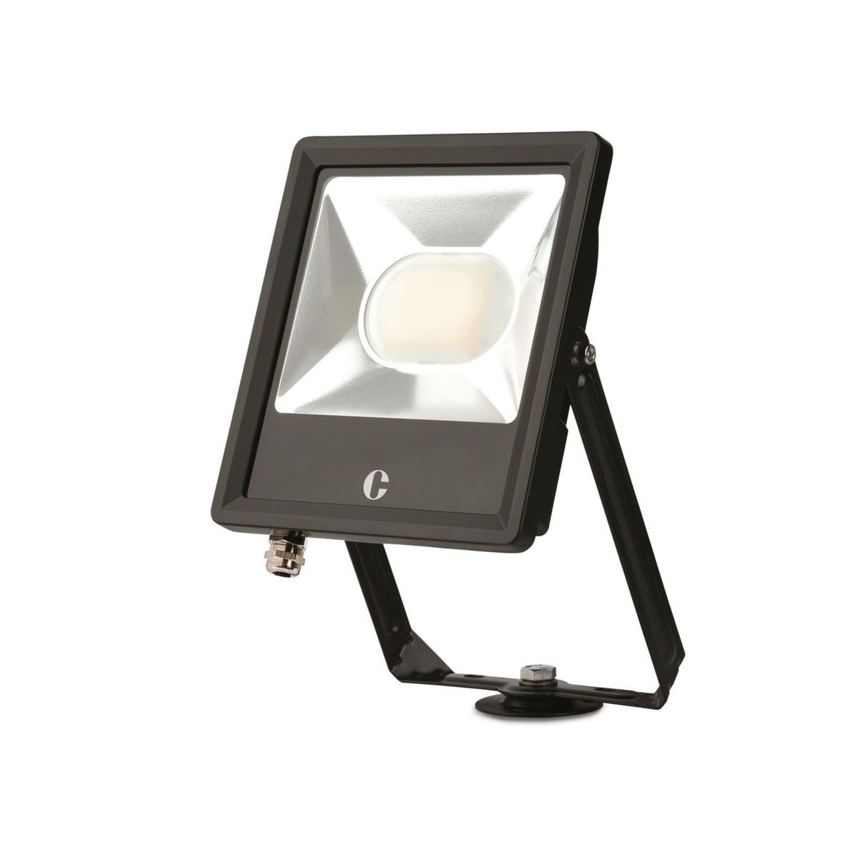COLLINGWOOD CCT FLOODLIGHT 50w FL05BXCS
