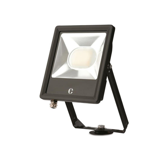 COLLINGWOOD CCT FLOODLIGHT 50w FL05BXCS