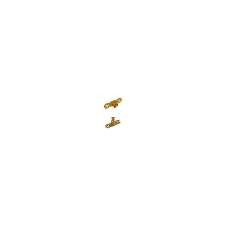 FM MALE BACKPLATE BRASS M310