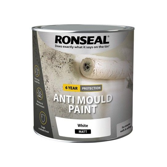 RONSEAL 6YR ANTI MOULD PAINT 2.5L WHITE MATT 36624
