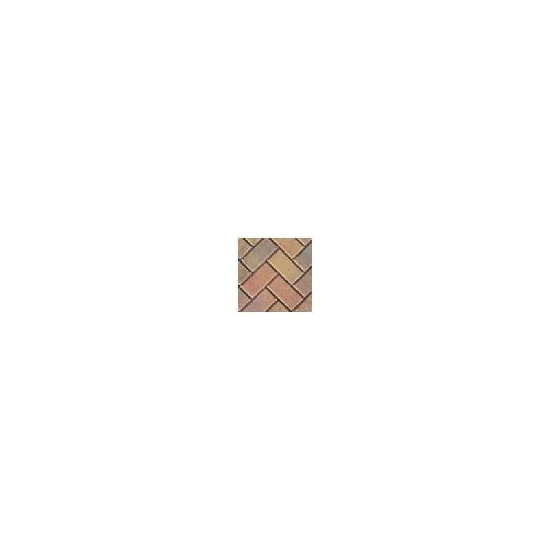 WYRESDALE DRIVEMASTER PAVIOR 200 x 100 x 50mm AUTUMN MIXTURE