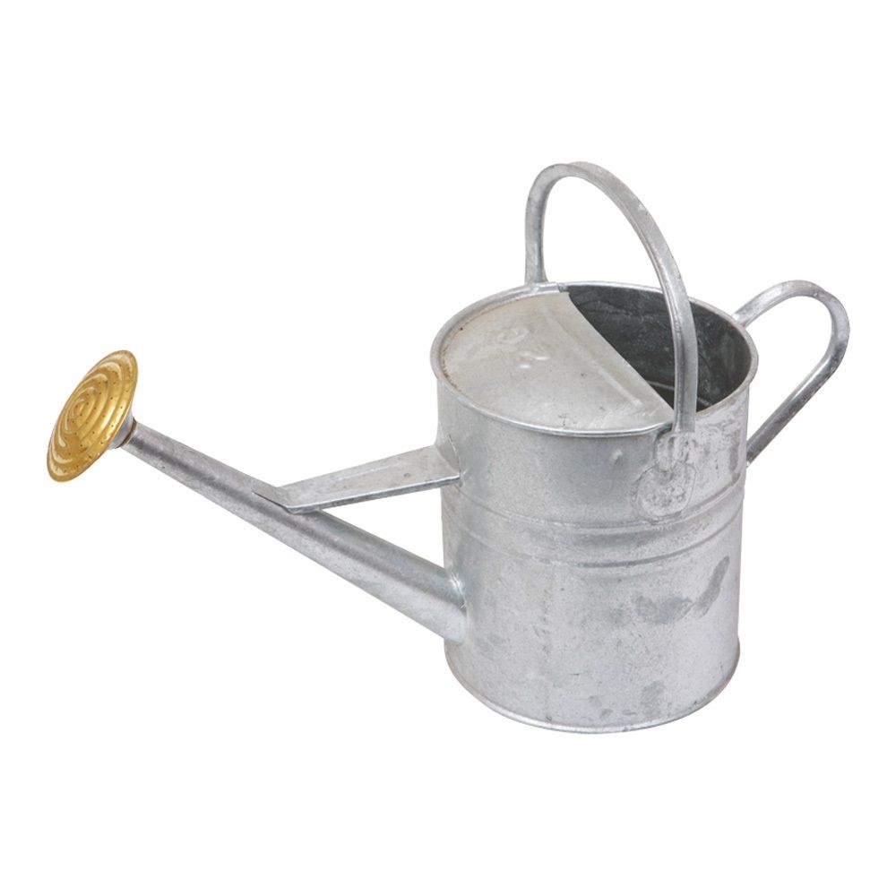 GALVANISED WATERING CAN C/W ROSE MGWC