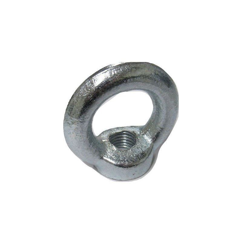 M10 LIFTING EYE NUT 34410010ZP-100