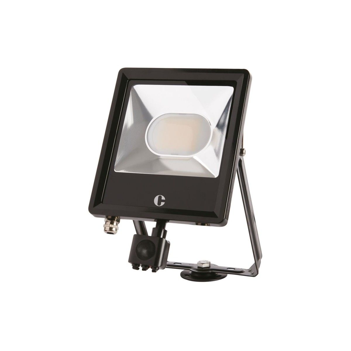 COLLINGWOOD PIR CCT FLOODLIGHT 50w FL05BPCS