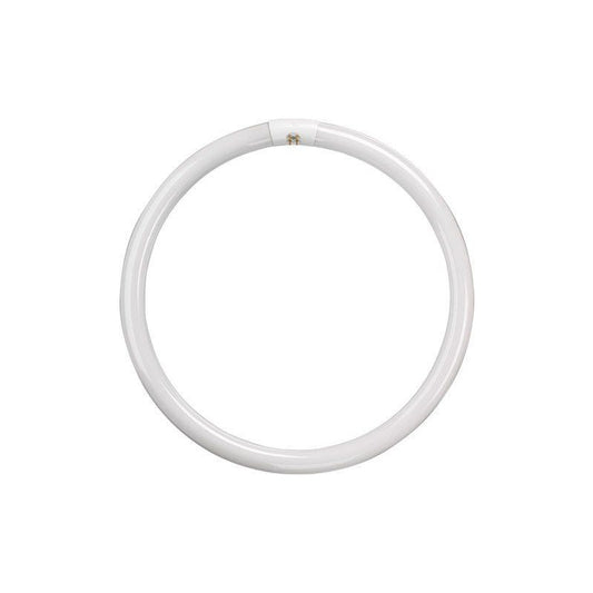 CROMPTON CIR22SPCW 22W CIRCULAR SPECTRA-PLUS