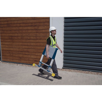 WERNER TELESCOPIC SOFT CLOSE EXT LADDER 3.8M 85038
