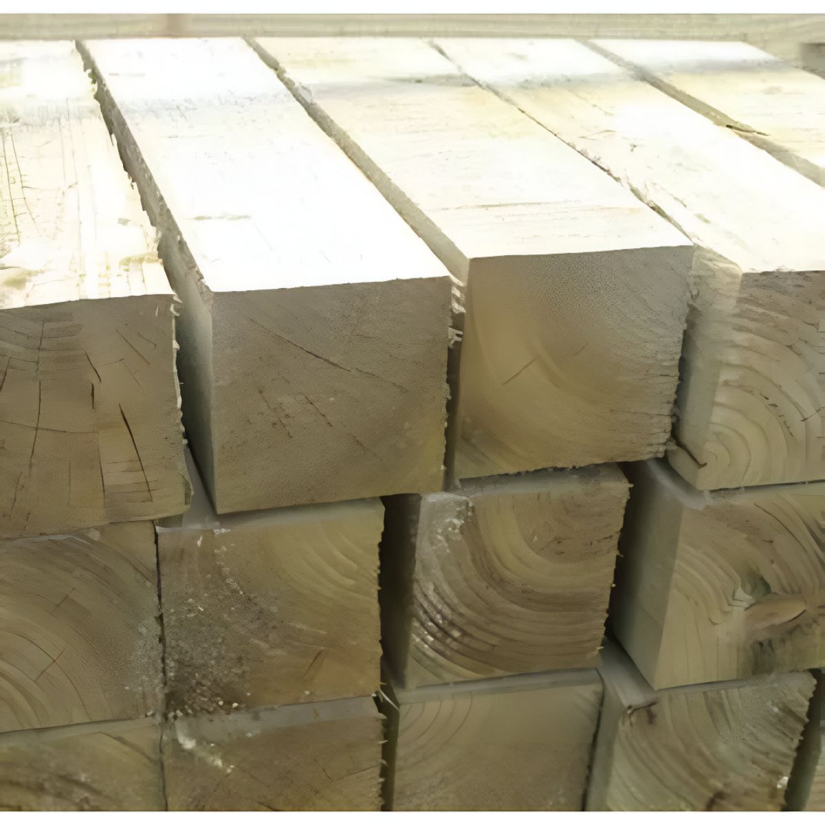JJ 75 x 75mm x 3.0m INCISED FENCE POST GREEN TREATED UC4 15 YEAR FSC