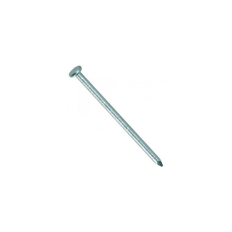 PREPACKED GALV ROUND WIRE NAILS 100 x 4.5mm x 2.5kg N9RSG3100450