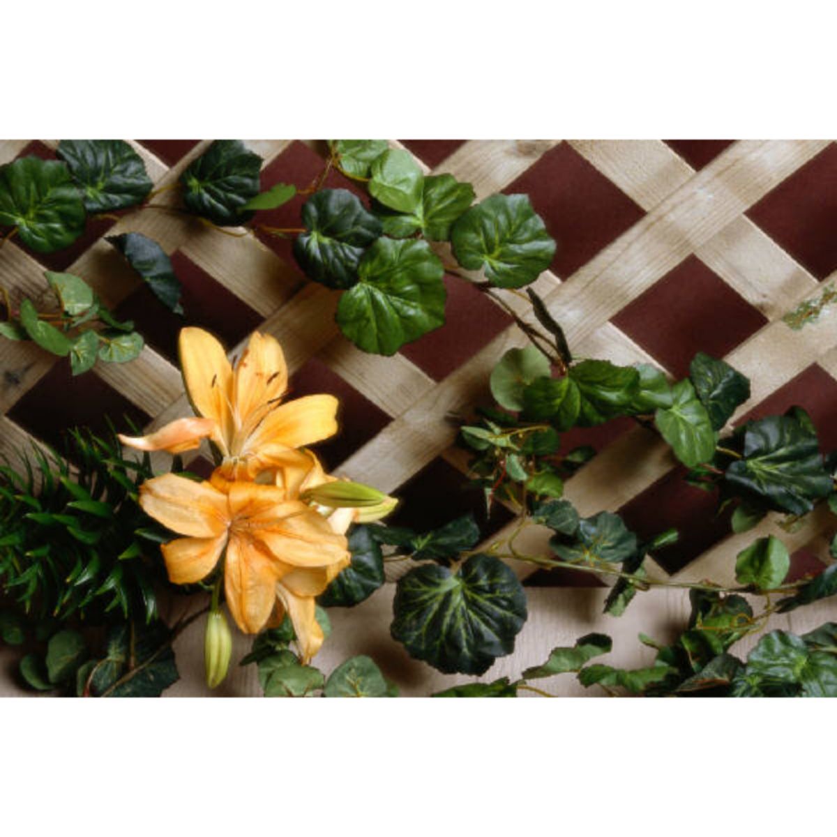 DENBIGH TIMBER 3" DIAMOND TRELLIS PANEL 6 x 1' APEX CAP DT6X13"
