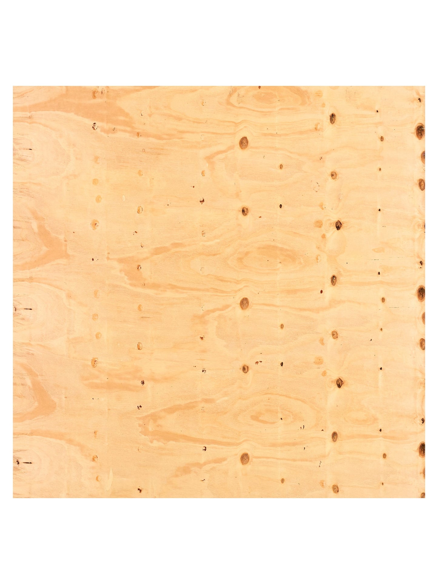9mm Softwood Shuttering Plywood C+/C 2440mm x 1220mm (8' x 4') - Pack of 100