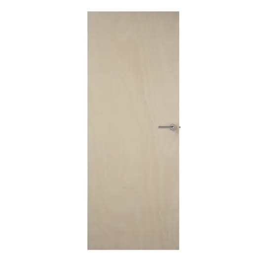 External Ply Flush FD30 Fire Door 838mm x 1981mm x 44mm