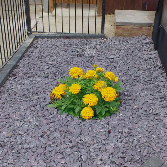 Grs Scotland Mini Bag Plum Slate 40mm
