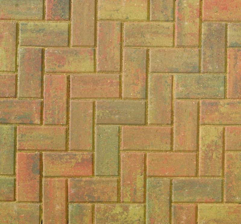 BRETT OMEGA PAVIOUR 200 x 100 x 50mm AUTUMN GOLD OM50AG