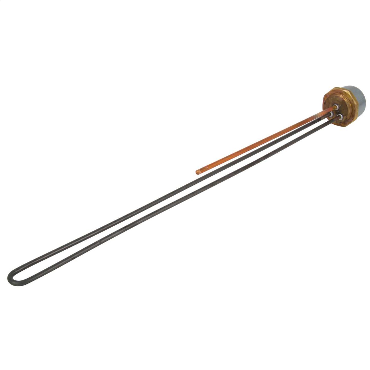 Backer 36" Anti Corrosive Immersion Heater with Thermostat