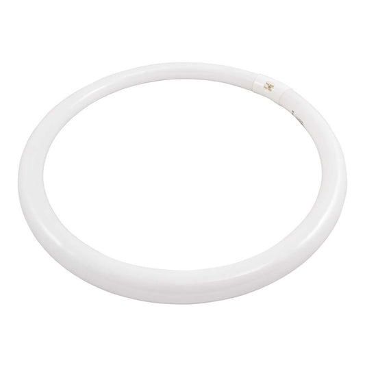 Fusion Circline 32W G10q 4 Pin T9 Circular Tube 6500K