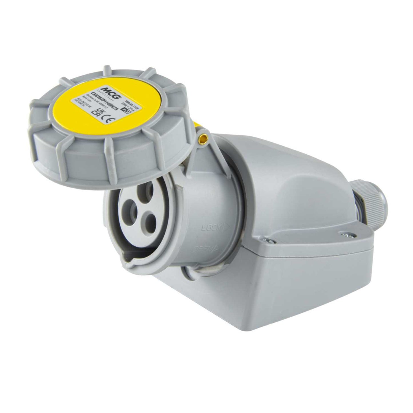 MCG 16A 2P+E 110V Wall Mounted Socket IP67