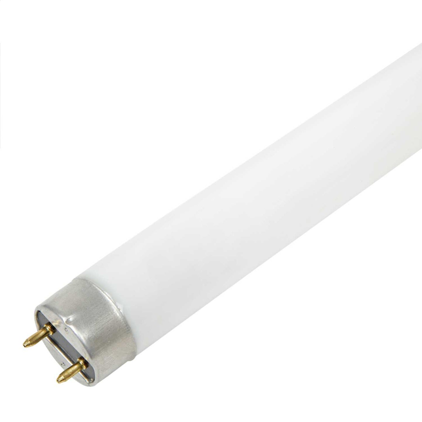 Fusion 15W T8 18 Inch Blacklight Fly Killer Tube