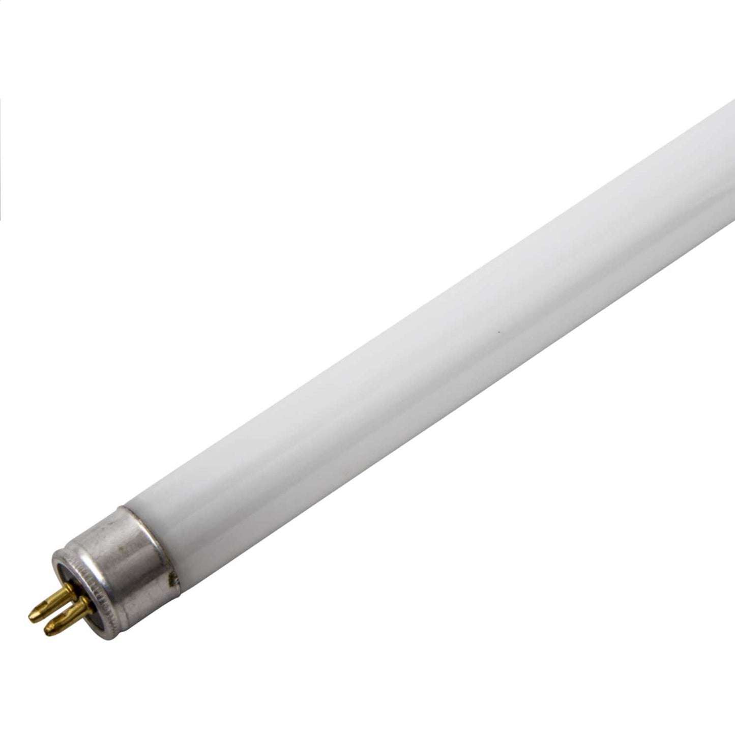 Fusion 15W T5 12 Inch Blacklight Flykiller Tube