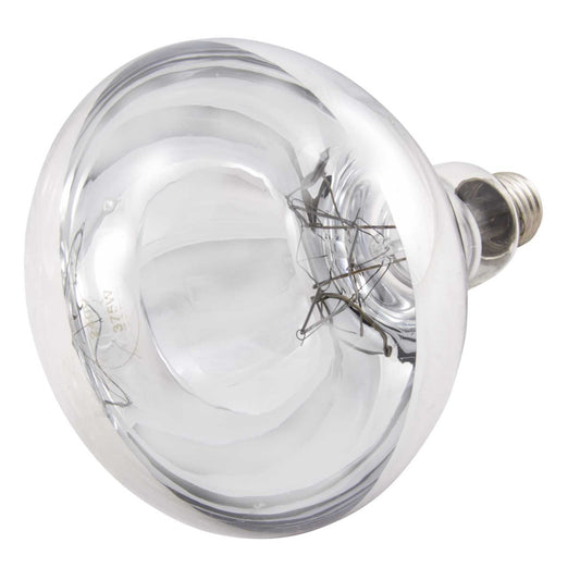 Fusion 375W ES R125 Infrared Reflector Lamp Clear