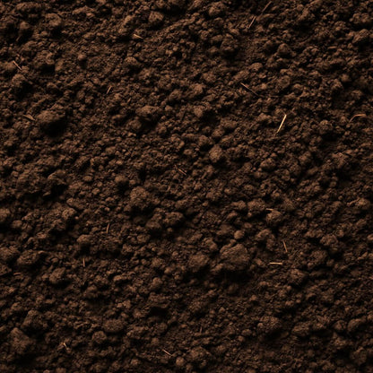 Topsoil Bag (25kg)
