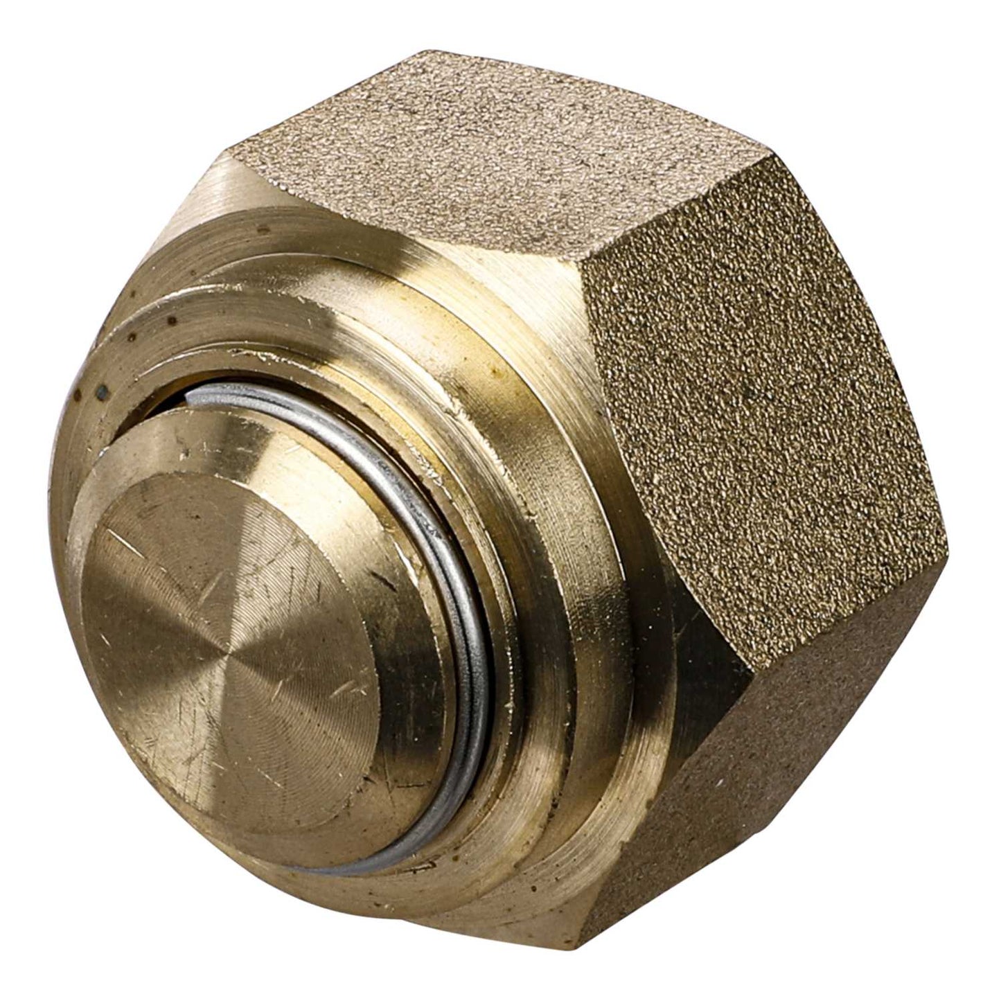 MP ECV Caps Pack of 10