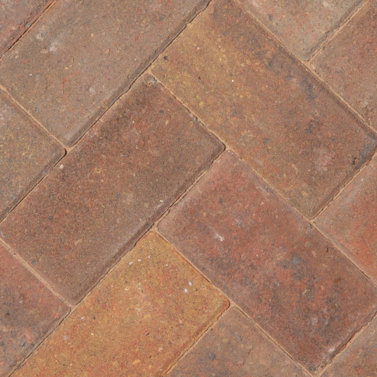 BRADSTONE DRIVEWAY PAVIOUR 200 x 100 x 50mm AUTUMN 40207