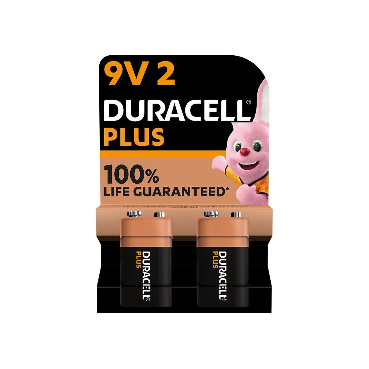 DURACELL DUR9V100PP2 9v BATTERIES (PACK 2)