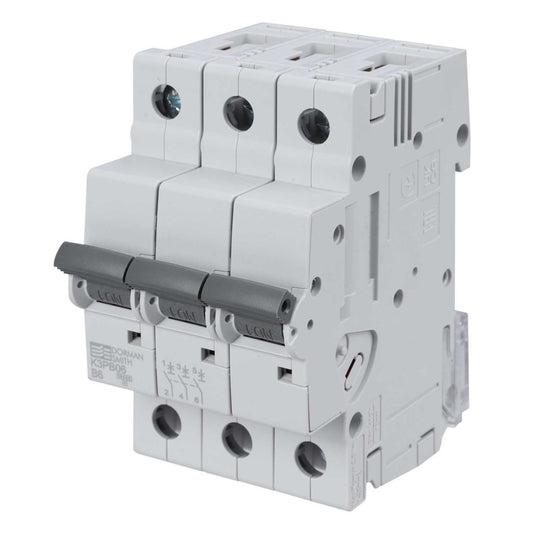 Dorman Smith 6A Triple Pole 10kA B Curve MCB