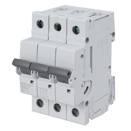 Dorman Smith 25A Triple Pole 10kA B Curve MCB