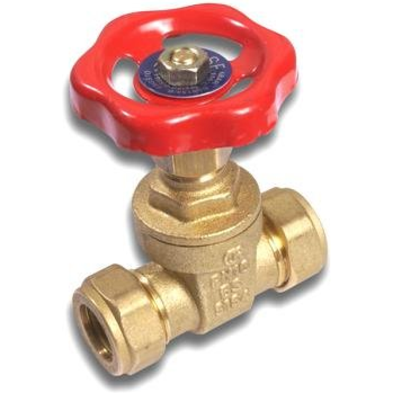 EMBRASS EP GATE VALVE BRASS 28mm 302272