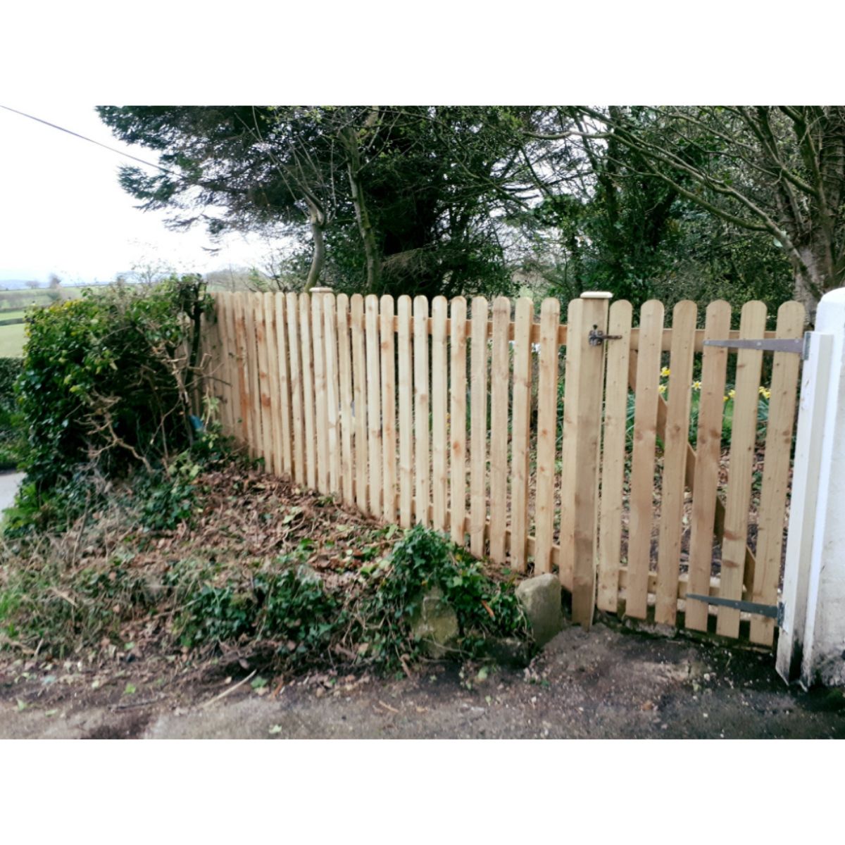 DENBIGH TIMBER POINTED PICKET / PALISADE PANEL 6 x 3' ACTUAL WIDTH 1795mm PIK6X3P
