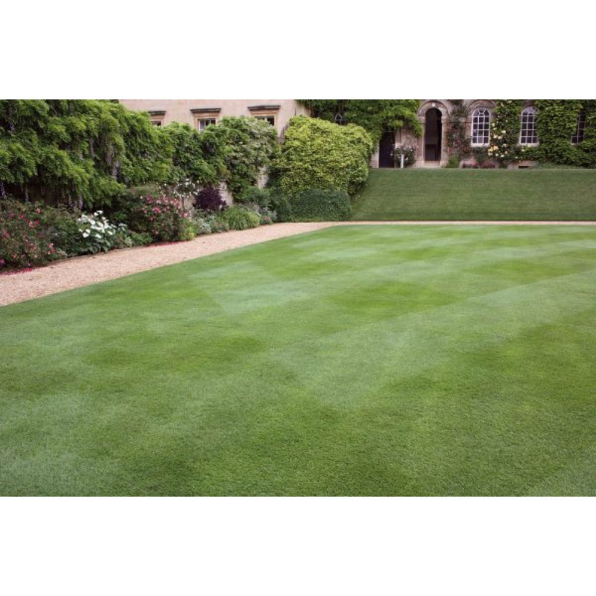 ESTATE GRASS SEED 10kg