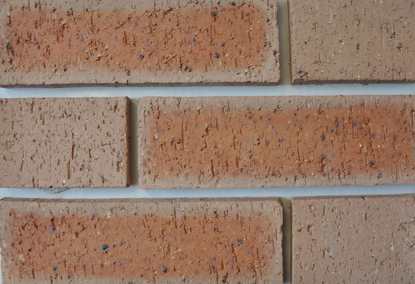 RAEBURN EDGEMOOR BUFF WIRECUT BRICK 65mm SCOTLAND