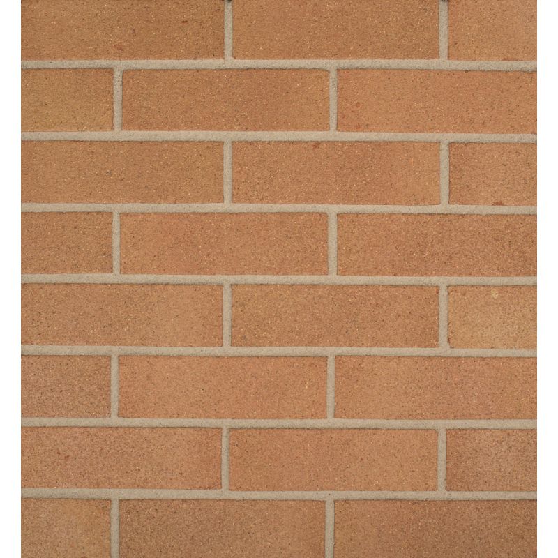 Wienerberger Denton Swarland Golden Thatch Brick 65mm