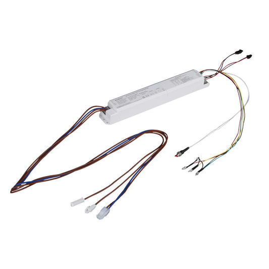 Robus Linear Fitting 2W 3 Hour Dual Test Emergency Pack