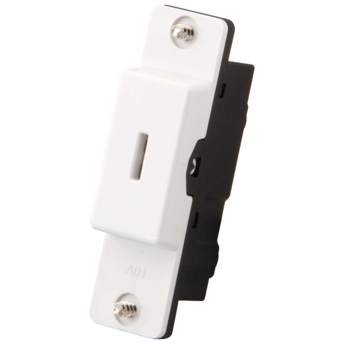 M2 Slimline 10A Double Pole Key Switch Module
