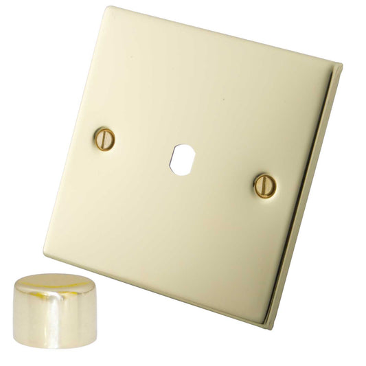 M2 Decorative 1 Gang Unfurnished Dimmer Plate Polished Brass