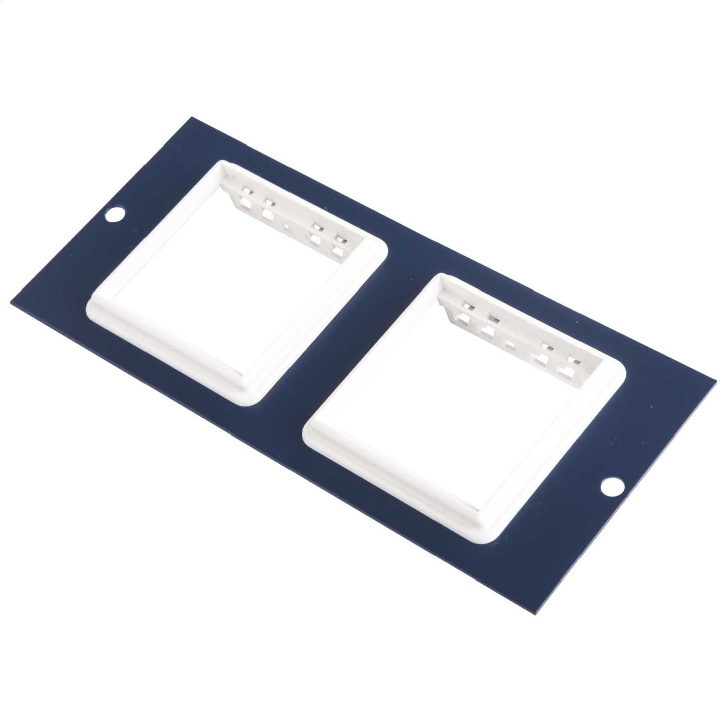 Schneider Mita Q474 Plate with 2 x Euro 50mm x 50 mm Frames
